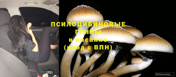 гашишное масло Аркадак