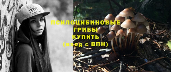 соль ск Арсеньев