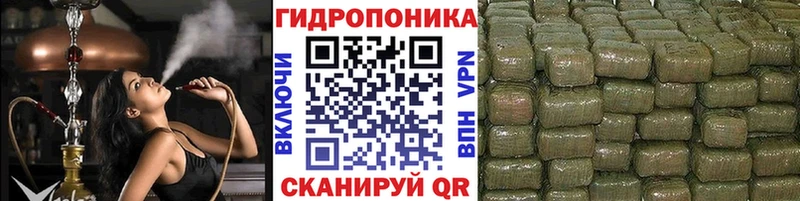 Шишки марихуана ГИДРОПОН  купить наркоту  Таштагол 